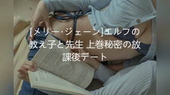 豹纹巨乳系下