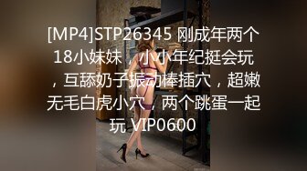 华裔博主mvLust onlyfans高清原档合集【138V】 (4)