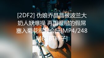 [2DF2] 伪娘乔晶晶被波兰大奶人妖爆操 再用很粗的假屌塞入菊花很是会玩[MP4/248MB][BT种子]