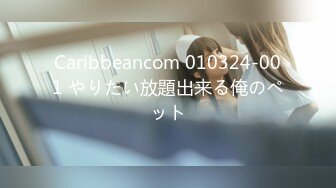 Caribbeancom 010324-001 やりたい放題出来る俺のペット