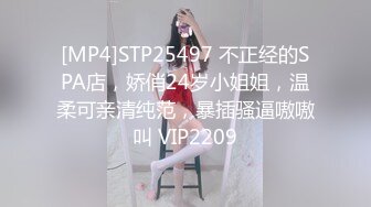 【极品厕拍】最新4月新流出商场后拍大学生小姐姐~极品大屁股【94V】 (33)