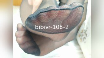 bibivr-108-2