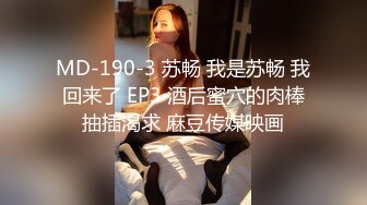 MD-190-3 苏畅 我是苏畅 我回来了 EP3 酒后蜜穴的肉棒抽插渴求 麻豆传媒映画