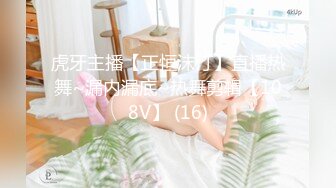 ⚫️⚫️最新3月VIP福利，推特极品长腿苗条烧婊子【橙子】私拍，丝袜塞逼肛塞夹着假阳具公共场合露出边走边紫薇，骚话连天 (4)