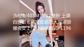 探花精选 专约熟女系列(27)