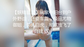 【妖精霍霍】从家中阳台到户外野战，还要车震，极品尤物御姐，美乳白虎，彻底放飞了自我 (5)