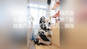 良家约啪大神【dulianmaomao】极品人妻床上好骚大神是真会玩人妻被玩的不要不要的第三期