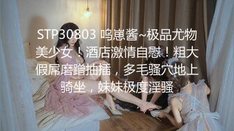 [MP4]STP31008 国产AV 天美传媒 TMBC032 强上不爱穿内裤的远房表姐 仙儿媛 VIP0600