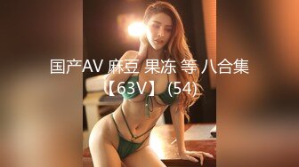 国产AV 麻豆 果冻 等 八合集【63V】 (54)