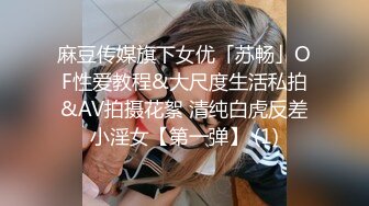 爆乳丰臀女神【豆泥丸】完美身材 穿着空姐制服架起来操到浪叫 高清私拍90P