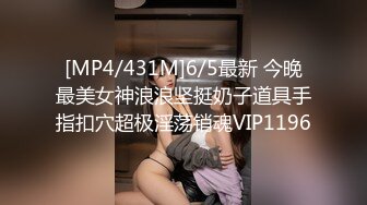 FC2-PPV-4569422 驚愕ギャップ!美人で華奢な女の 【高清無碼】