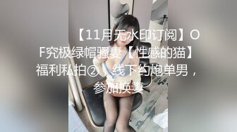 ⚫️⚫️【11月无水印订阅】OF究极绿帽骚妻【性感的猫】福利私拍②，线下约炮单男，参加换妻