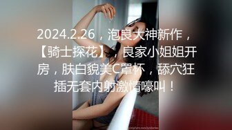 91小哥高级公寓约炮刚认识的极品小女友 高清露脸