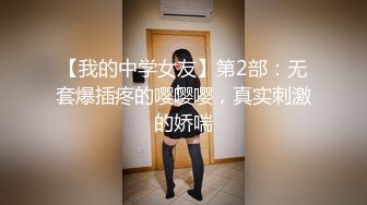 精品泄密 人前漂亮人后淫D反差婊騷母狗張某慧不雅自拍露臉視圖流出[284P+14V/834M]