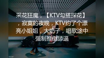 采花狂魔，【KTV勾搭探花】，寂寞的夜晚，KTV约了个漂亮小姐姐，大奶子，唱歌途中强制推倒舔逼