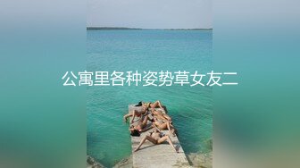 国产AV 葫芦影业 HLW006 色情房东俏房客