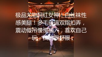 [2DF2]【全网首发 麻豆映画代理出品】蜜桃影像传媒变态跟踪狂 轮番插入 捆绑解禁_ [MP4/104MB][BT种子]