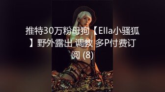 推特30万粉母狗【Ella小骚狐】野外露出 调教 多P付费订阅 (8)