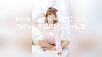 成都小少妇2