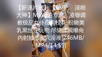 [MP4/ 1.66G]&nbsp;&nbsp;情趣酒店大圆床，JK装骚货约炮，拳交振动棒伺候，后入肥臀猛怼，我玩的舒不舒服，叫的太淫荡了