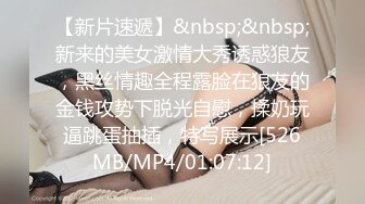 极品网红母狗【美杜莎】最新VIP付费福利第二弹 (3)