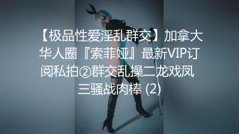 【极品性爱淫乱群交】加拿大华人圈『索菲娅』最新VIP订阅私拍②群交乱操二龙戏凤 三骚战肉棒 (2)