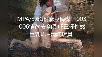 [MP4/3.6GB]麻豆傳媒TT003-006情欲按摩師+F罩杯性感巨乳DJ+清純店員