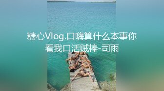 糖心Vlog.口嗨算什么本事你看我口活贼棒-司雨