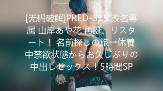 [无码破解]PRED-515 改名専属 山岸あや花 再誕、リスタート！ 名前探しの旅→休養中禁欲状態からお久しぶりの中出しセックス！5時間SP